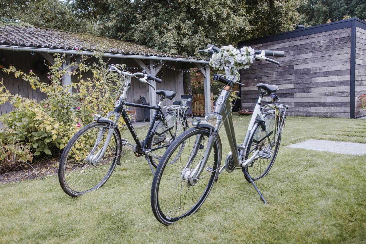 Vakantiehuis Sinne Oostmalle Kültér fotó
